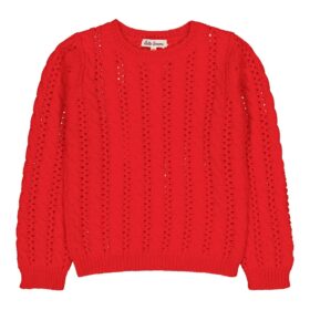 Alexa sweater